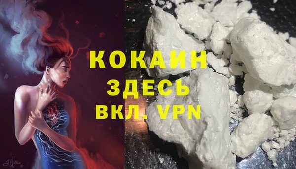 мяу мяу мука Кулебаки