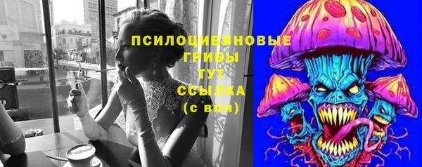 PSILOCYBIN Куйбышев