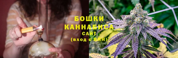 PSILOCYBIN Куйбышев