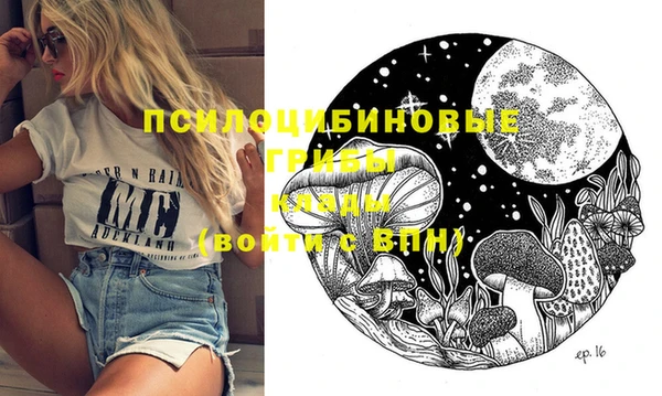 мяу мяу мука Кулебаки